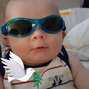 Meet your Posher, Ted